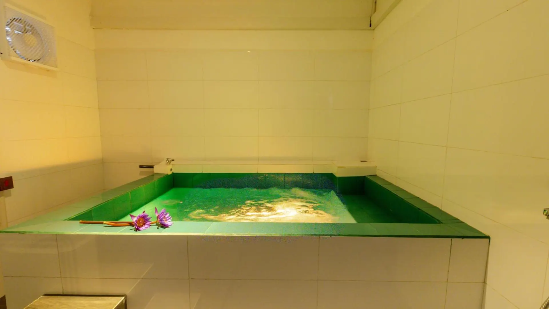 Elysia Sigiriya Hotel 담불라 4*,  스리랑카