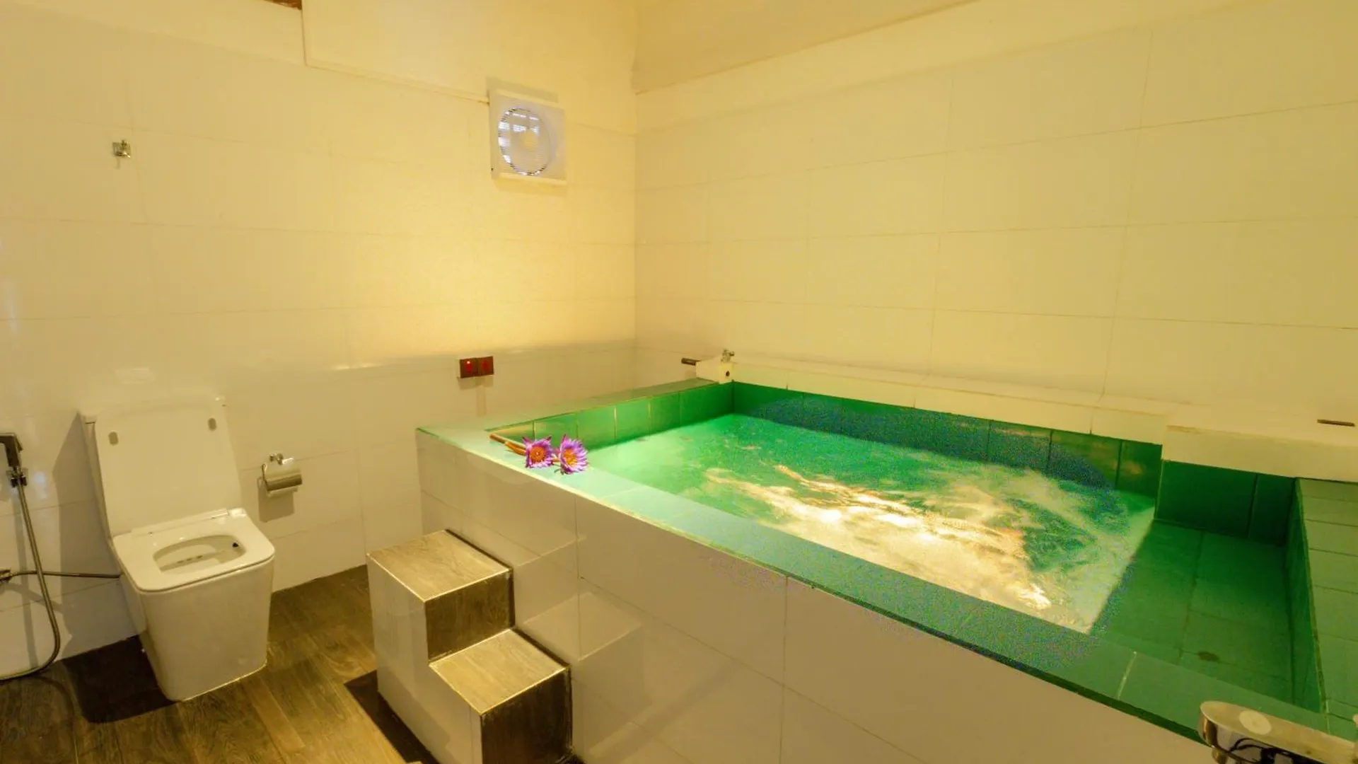 ****  Elysia Sigiriya Hotel Dambulla Sri Lanka